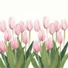 lliliflores